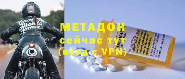 сатива Беломорск