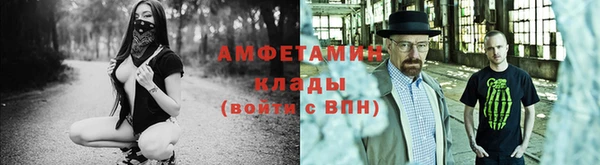 сатива Беломорск