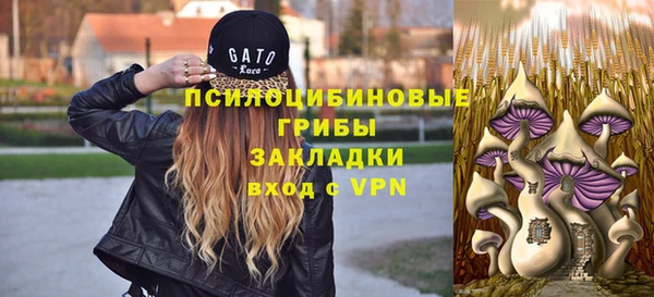 сатива Беломорск