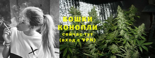 сатива Беломорск
