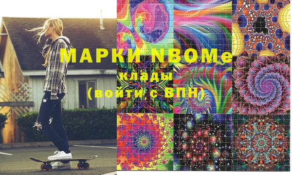 сатива Беломорск