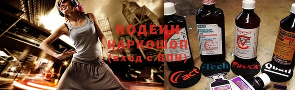 сатива Беломорск