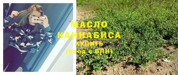 сатива Беломорск