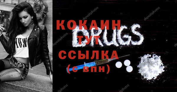 сатива Беломорск