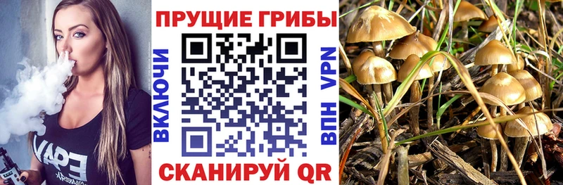 Галлюциногенные грибы мухоморы  Кстово 